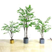 uploads/erp/collection/images/Home Garden/dgjiawang/XU0612979/img_b/XU0612979_img_b_1